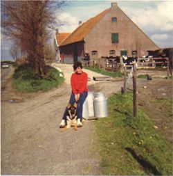 Het oude boerderijtje aan de Achterdijk