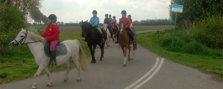 Ruiters op pony's op een polderweg